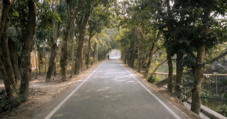 Mindset: Como Desenvolver uma Mentalidade Vencedora